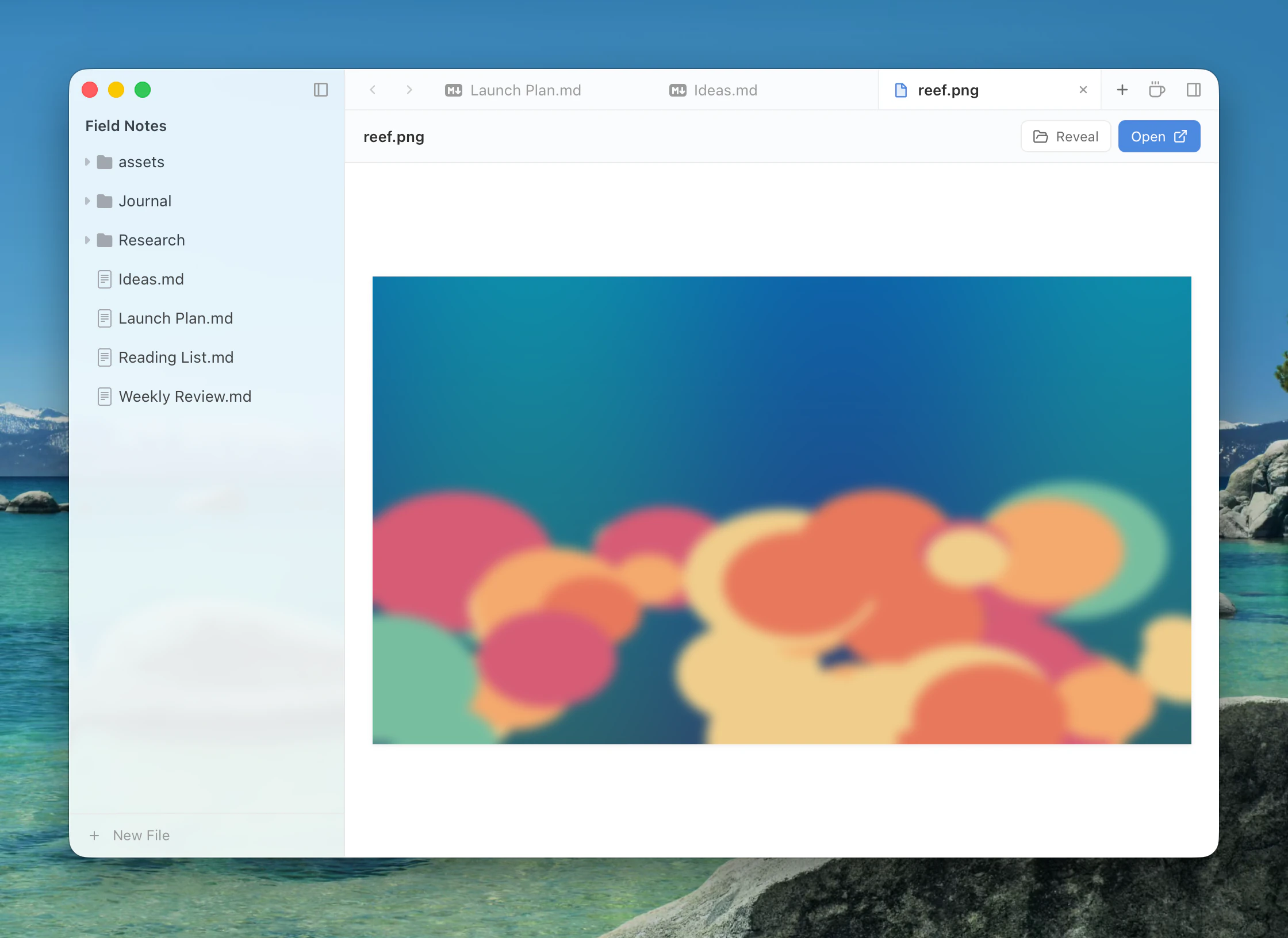 Previewing an image in a tab
