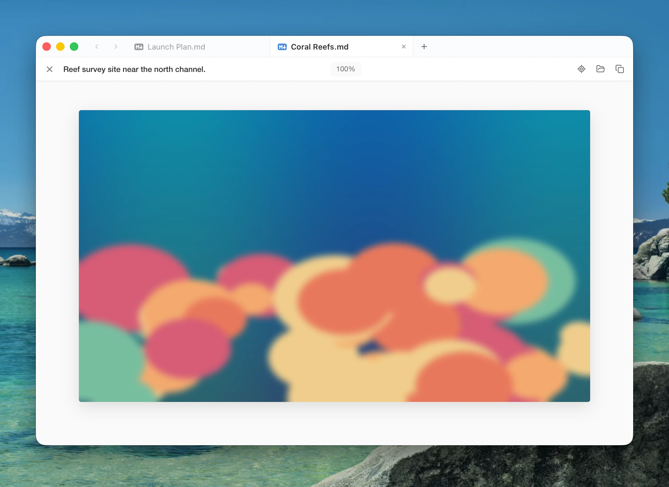 The image viewer